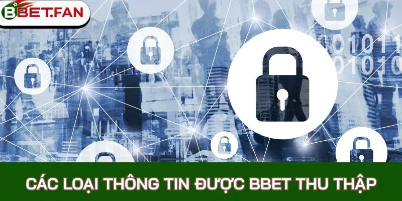 Các loại thông tin được BBet thu thập