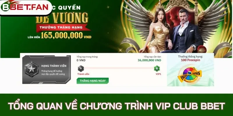 Tổng hợp các cấp độ Vip Club Bbet bạn cần biết