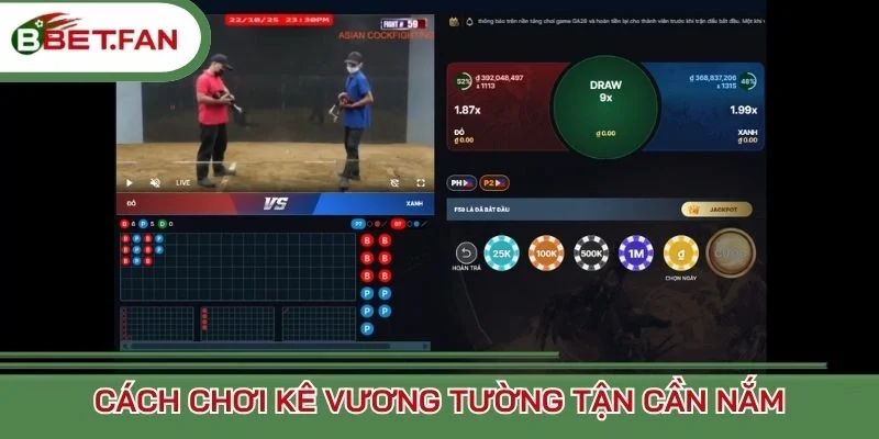 Cách chơi Kê Vương tường tận cần nắm