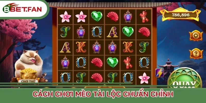 Cách chơi Mèo Tài Lộc chuẩn chỉnh