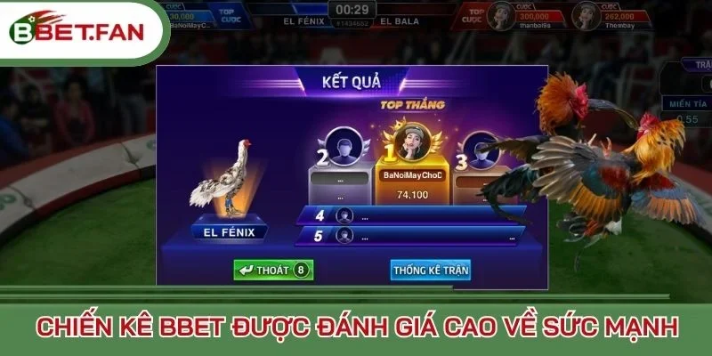 Chiến kê BBet được đánh giá cao về sức mạnh