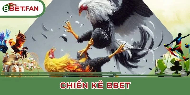 Đá đòn lối hấp dẫn và kịch tính