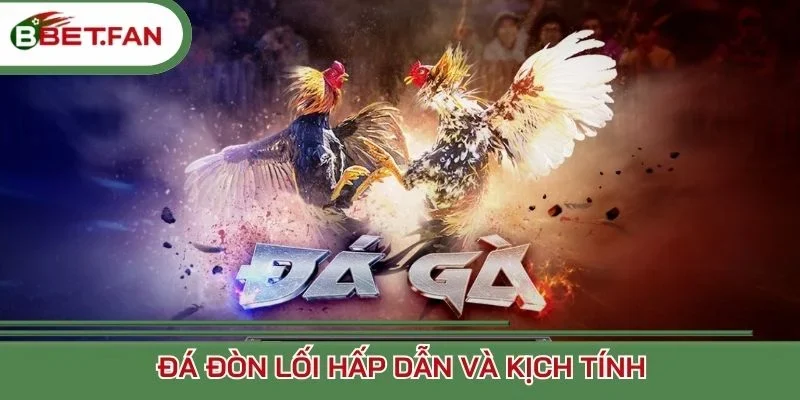 Đá đòn lối hấp dẫn và kịch tính