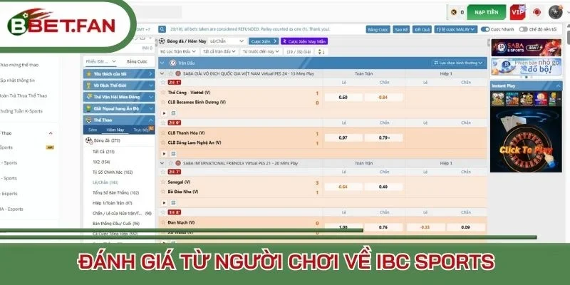 Đánh giá từ người chơi về IBC Sports