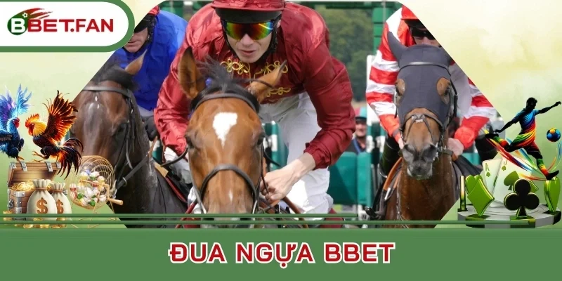 Hình thức cược đua ngựa BBet cung cấp