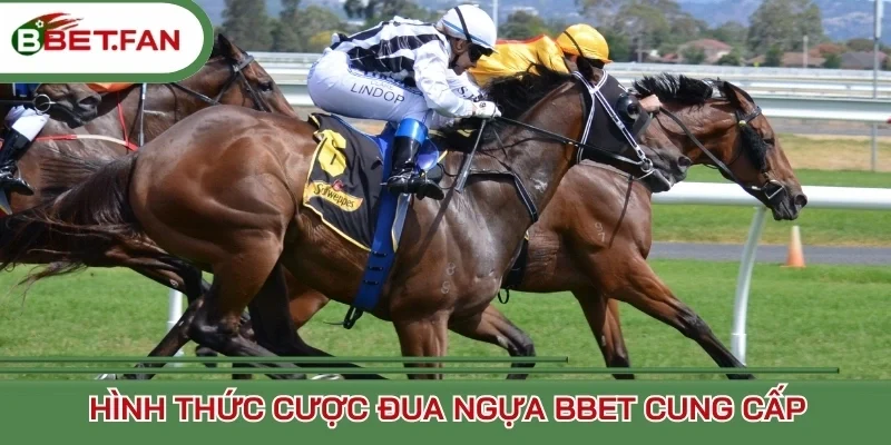 Hình thức cược đua ngựa BBet cung cấp