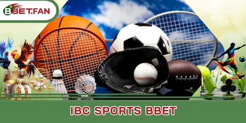 Đánh giá từ người chơi về IBC Sports