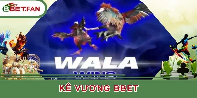 Cách chơi Kê Vương tường tận cần nắm