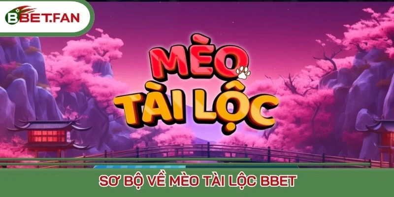 Sơ bộ về Mèo Tài Lộc BBet